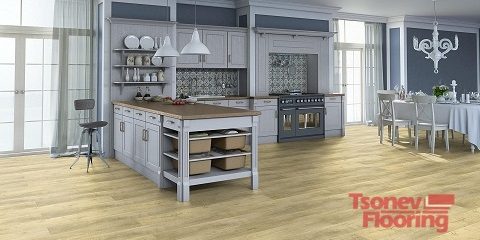 oak_osorno-fiesta-foto